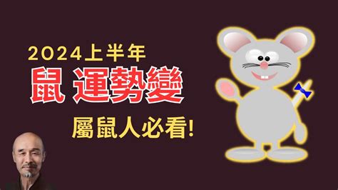 2024鼠年運程1996|1996年属鼠人2024年运势及运程详解